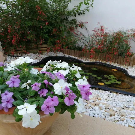Timpi Russi - La Palma Sciacca