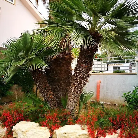 Timpi Russi - La Palma Appartamento